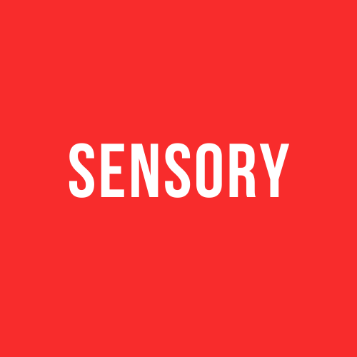 Sensory Toys