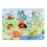 2 in 1 Insects and their homes Peg Puzzle