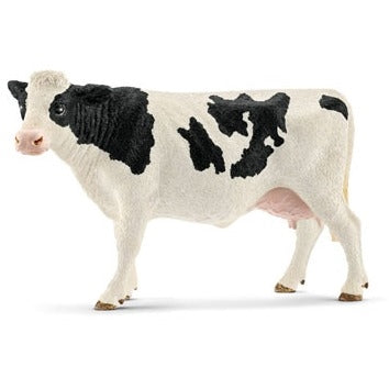 Holstein Cow