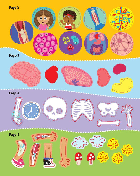 Human Body Funfacts - Sticker Activity Book