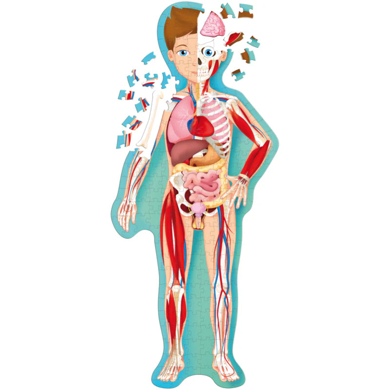 Travel, Learn and Explore Puzzle and Book Set - THE HUMAN BODY