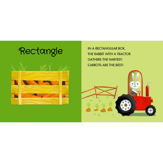 Sassi 3D Puzzle and Book Set - Learn Shapes Vehicles