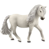 Island Pony Mare