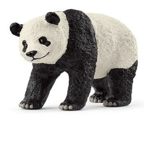 Giant Panda