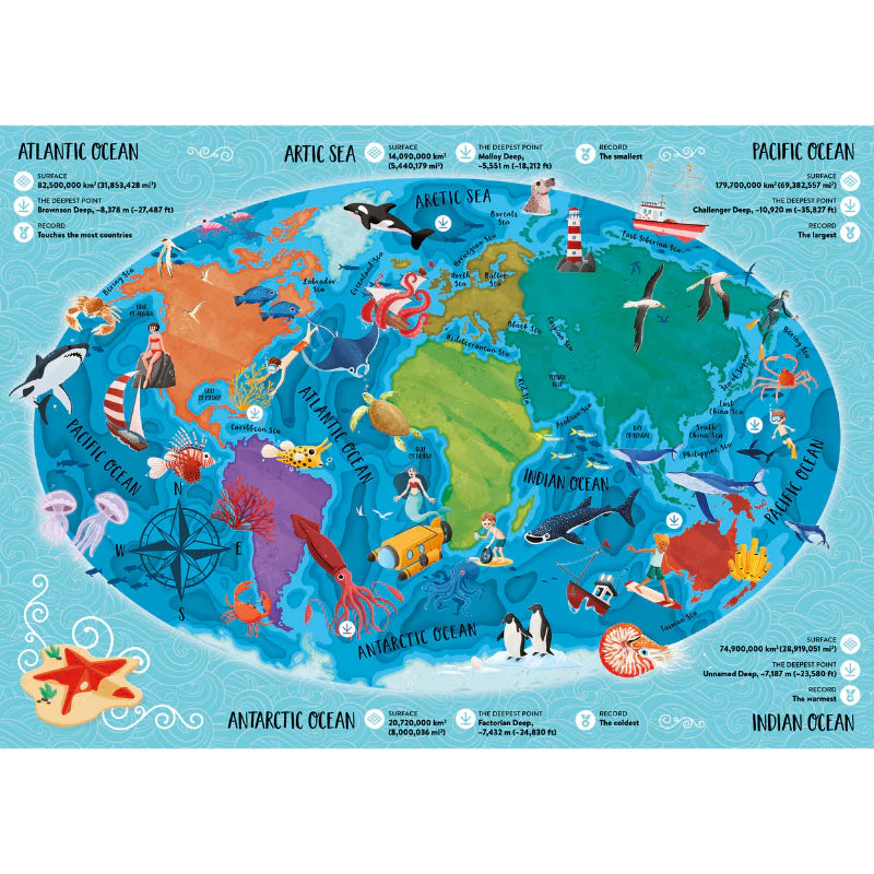 Sassi What How Why The Sea Book and Poster