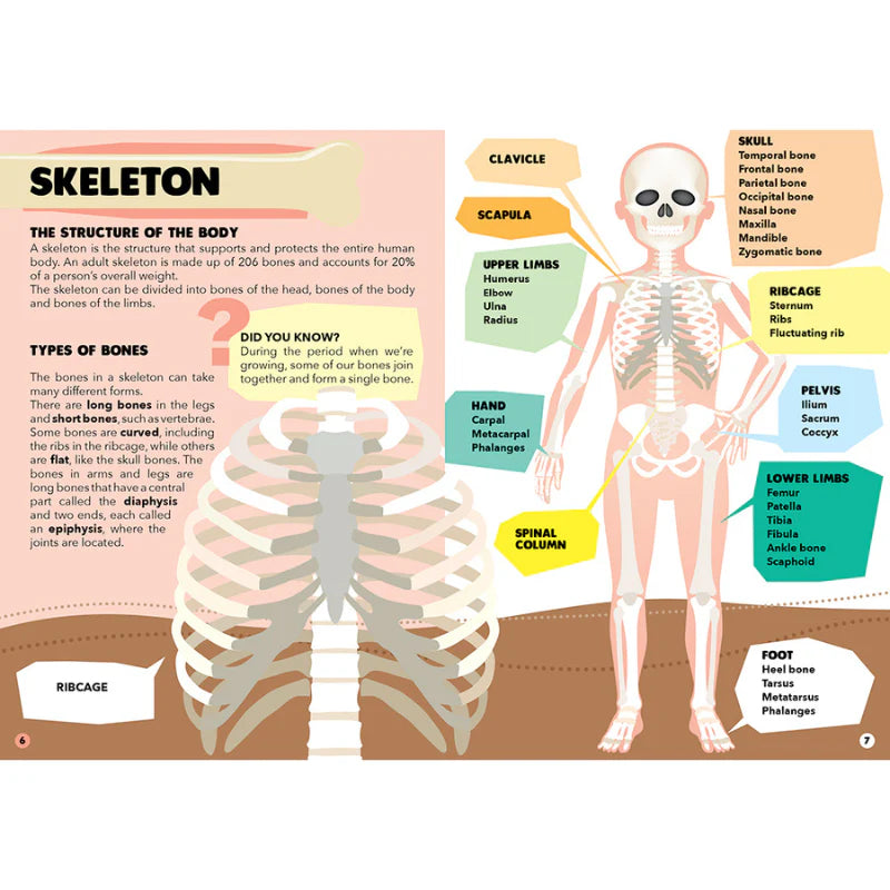 Travel, Learn and Explore Puzzle and Book Set - THE HUMAN BODY