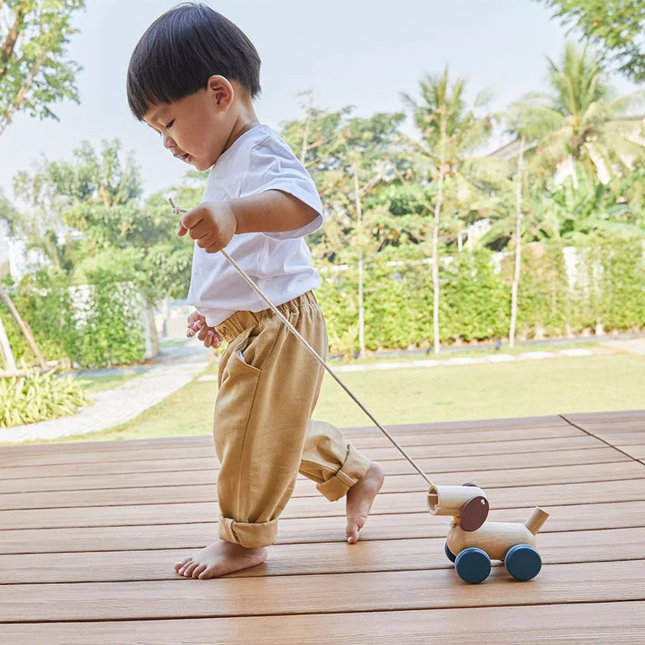 Plan Toys Push and Pull Puppy