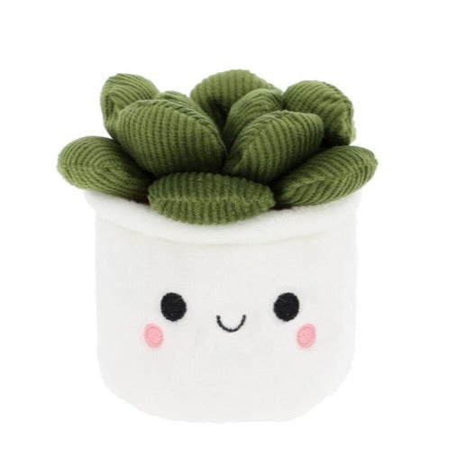 Bobballs Plant 12cm