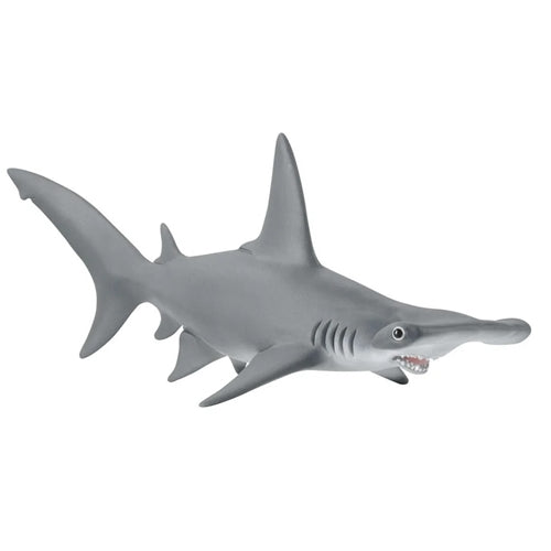 Hammerhead Shark