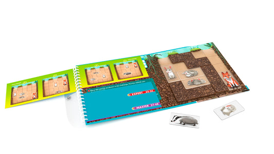 Magnetic Travel - Down the Rabbit Hole