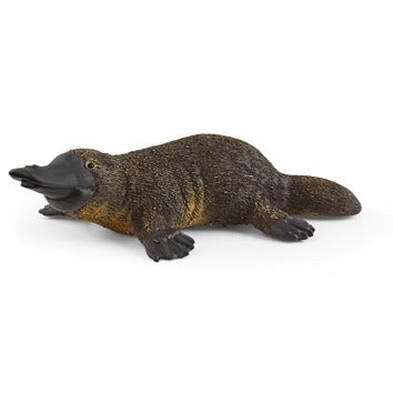 Platypus