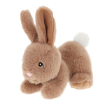 Keeleco Bunnies