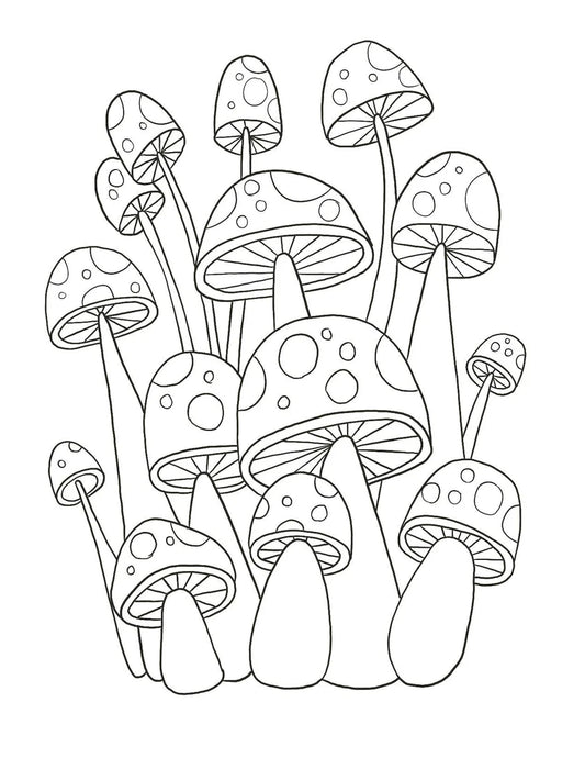 Enchanted Gem Sticker Colouring Book