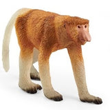 Proboscis Monkey