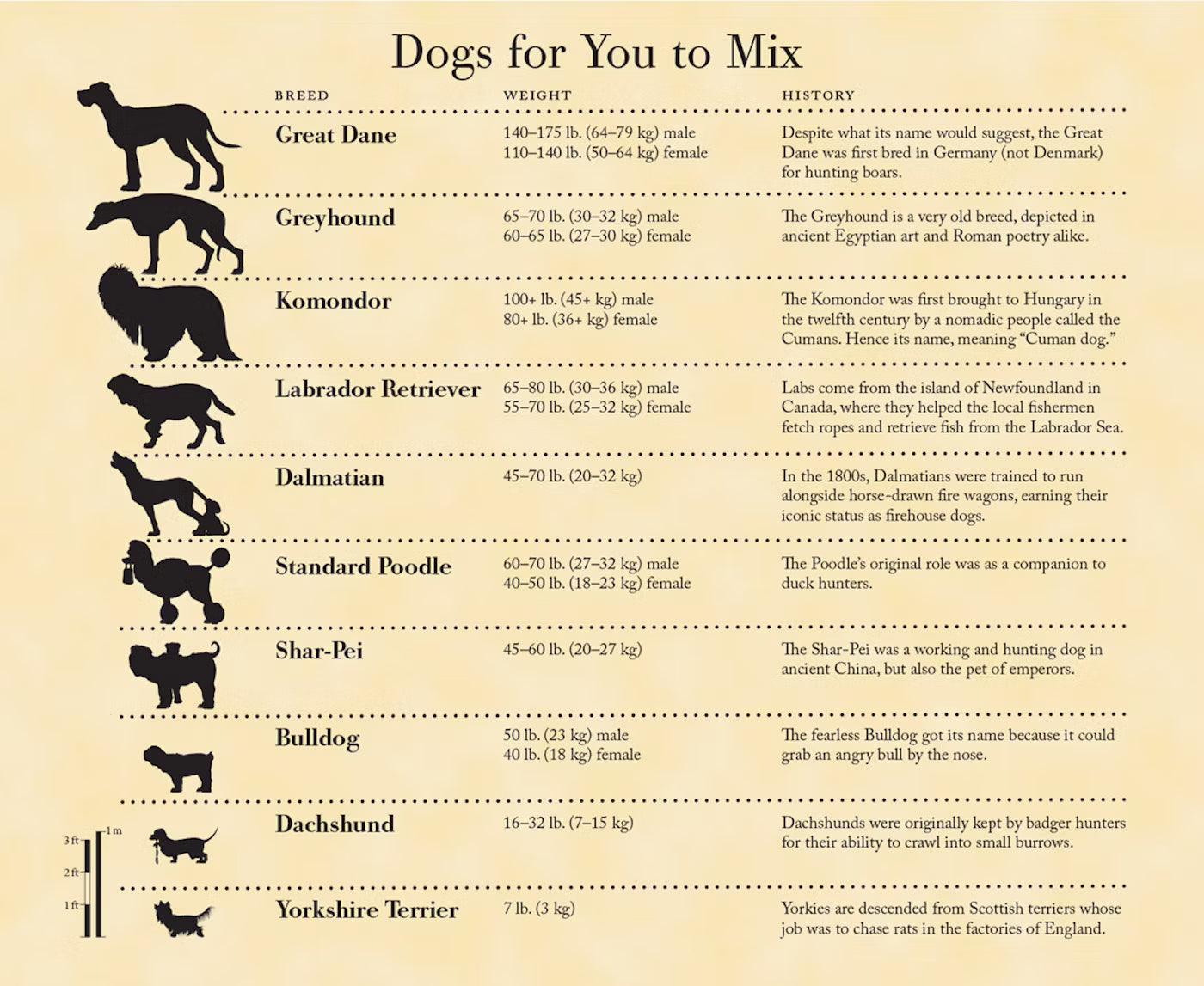 Mix-a-Mutt