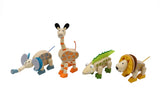 Wooden Flexi Animal