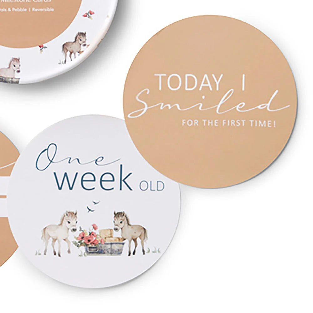 Pony Pals & Pebble Reversible Milestone Cards