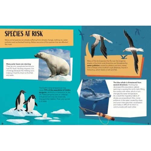 Save the Planet Puzzle and Book Set - The Poles