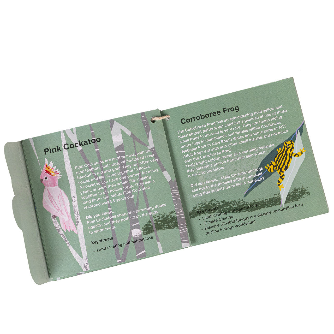 Habitat Big Cooler Lunch Bag