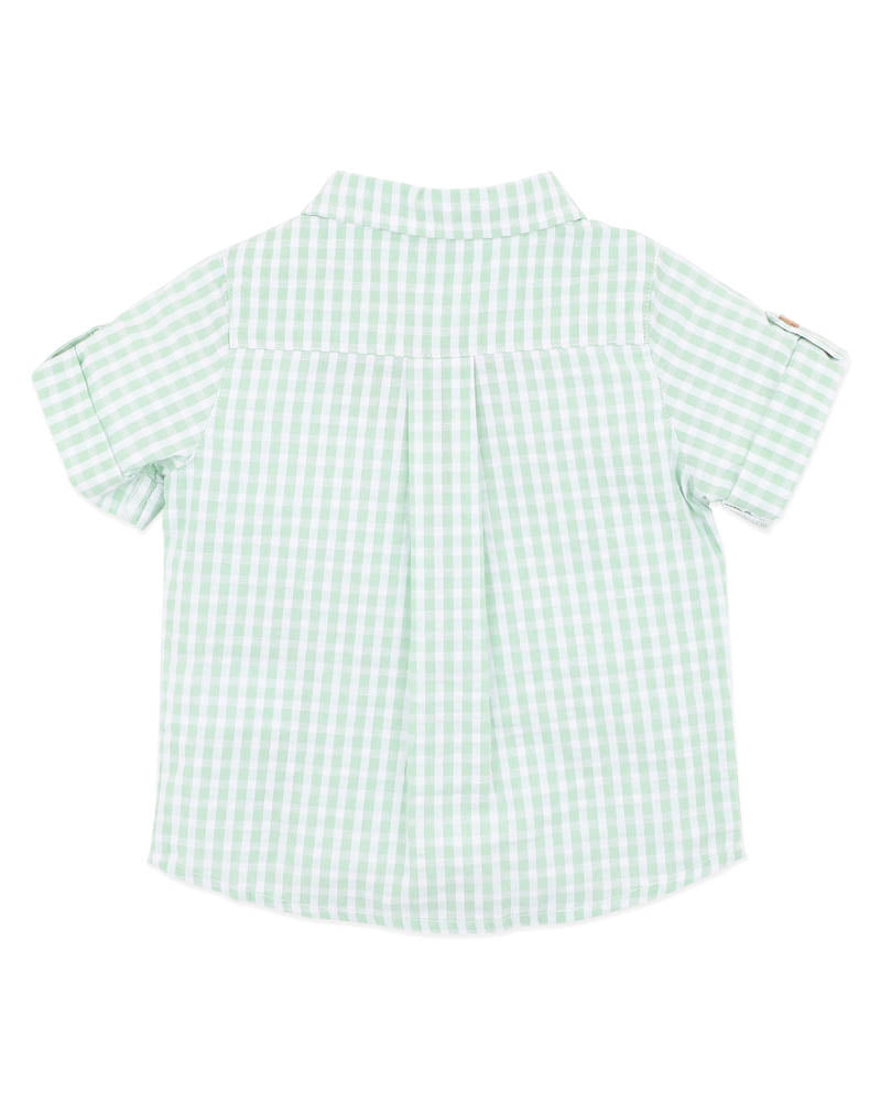 ROMAN Green Check Shirt