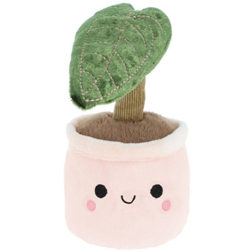 Bobballs Plant 12cm