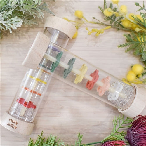 Spring Insect Rainmaker Rattle