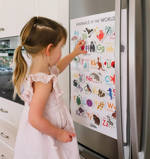 Magnetic Objects & Letters