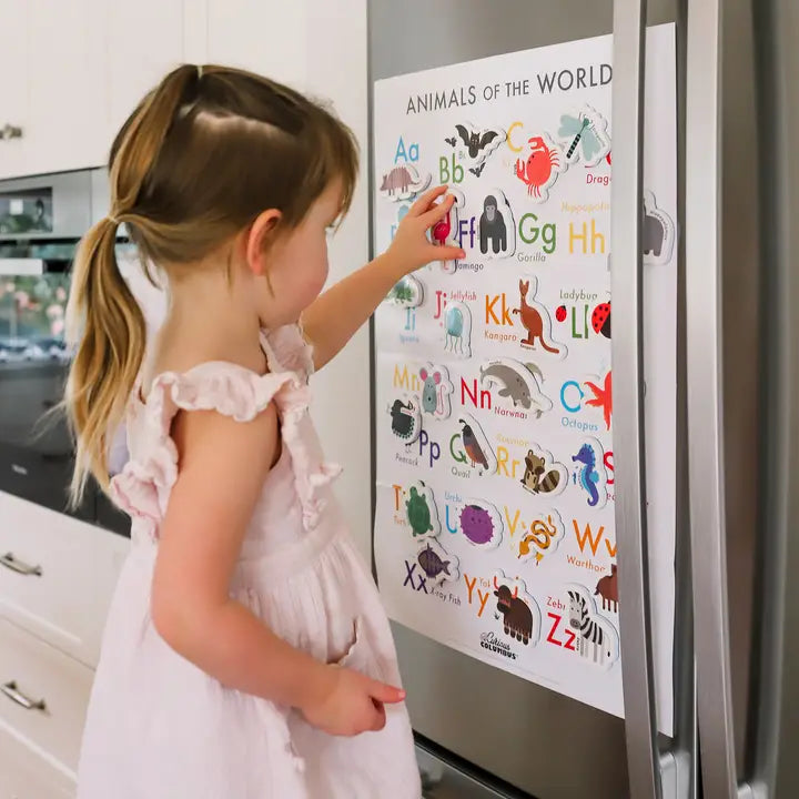 Magnetic Animals & Letters