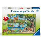 Animals above and Below Puzzle 60pc