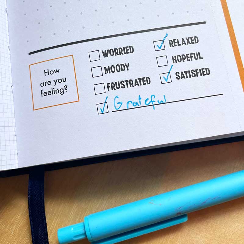 Teen GROW Journal︱12 years +