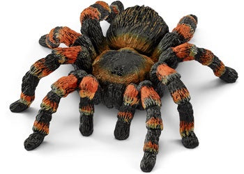 Tarantula