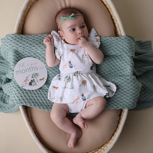 Dog Park and Seedling Reversible Milestone Cards