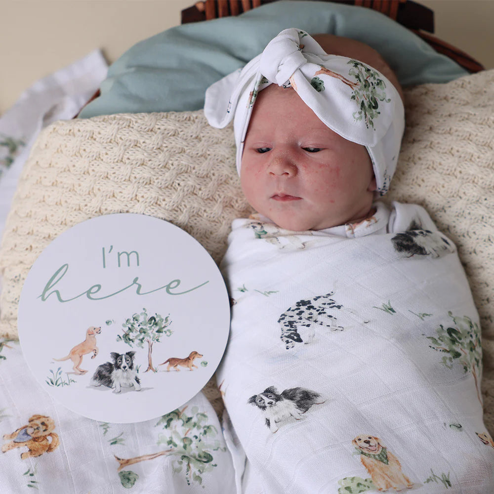 Dog Park and Seedling Reversible Milestone Cards