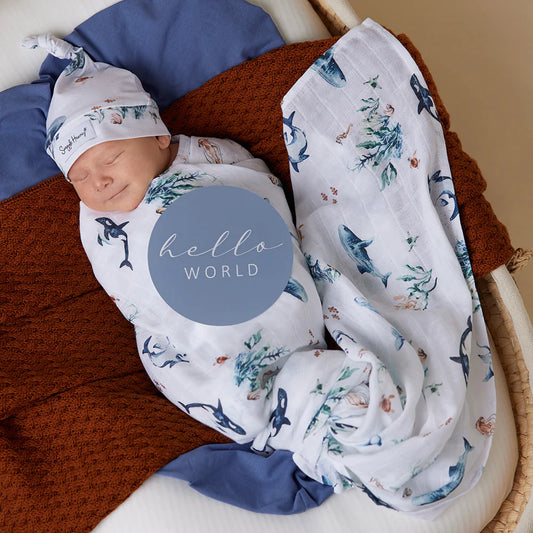 Ocean & Indigo Reversible Milestone Cards