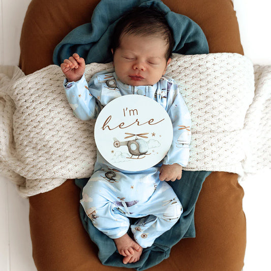 Taking Flight and Pebble Reversible Milestone Cards