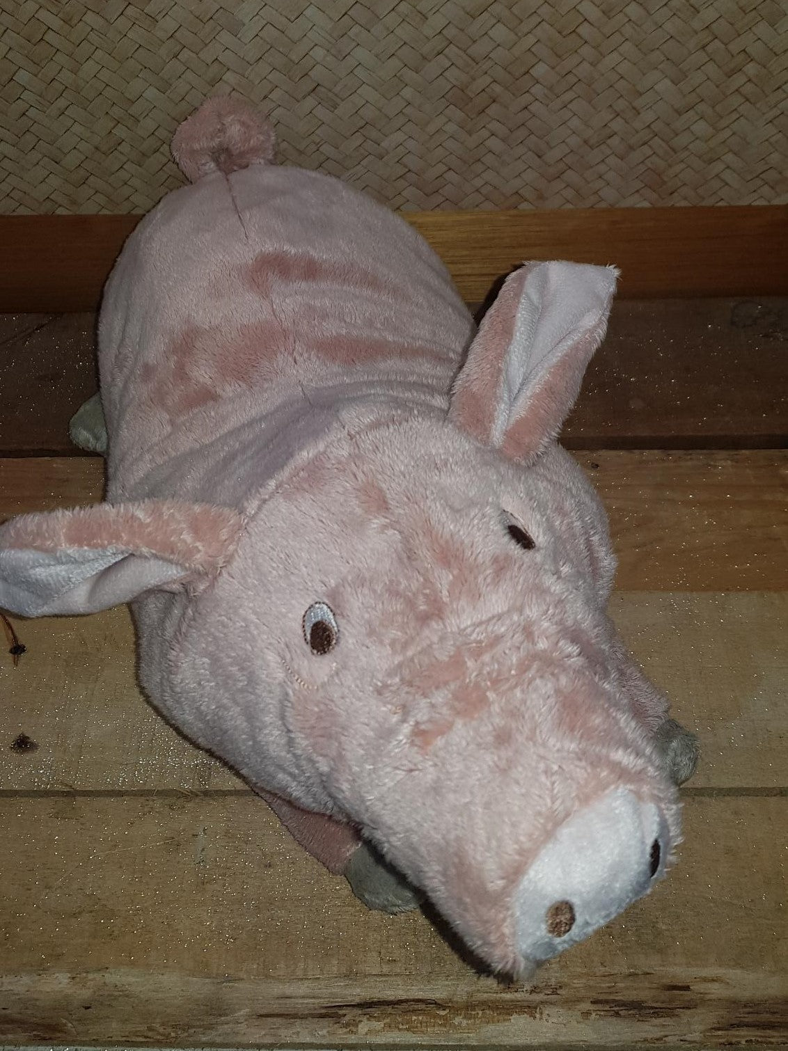 Weighted Pig 2.5kg