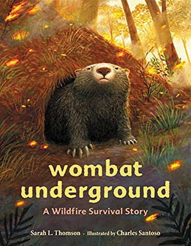 Wombat Undergroud28.5