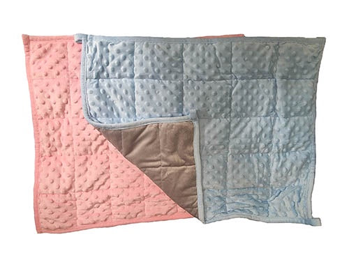 2.5kg Weighted Lap Pad