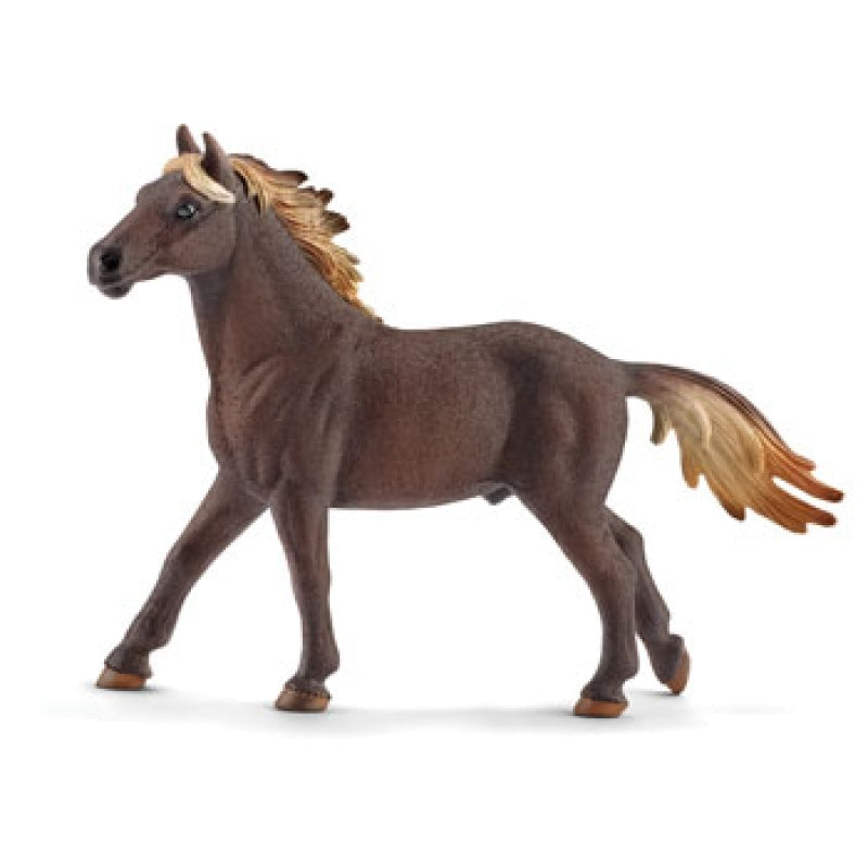 Mustang Stallion