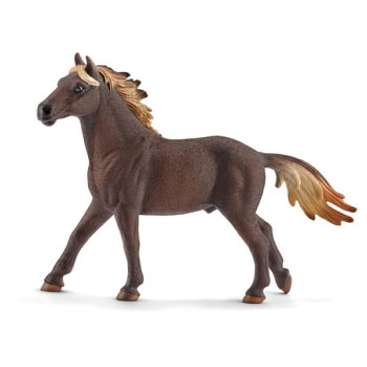 Mustang Stallion