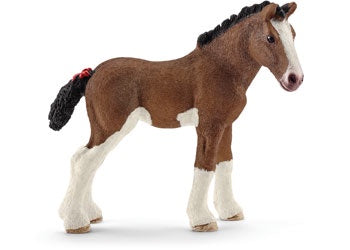 Clydesdale Foal