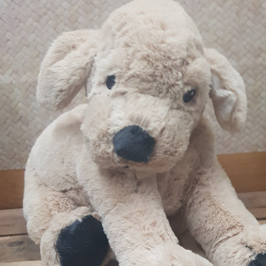 Weighted Dog Light 3kg