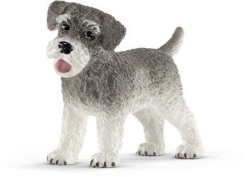 Miniature Schnauzer