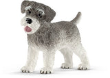 Miniature Schnauzer