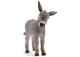Donkey Foal