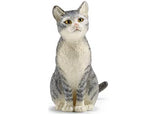 Cat Sitting