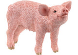 Piglet.