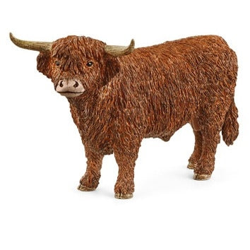 Highland Bull