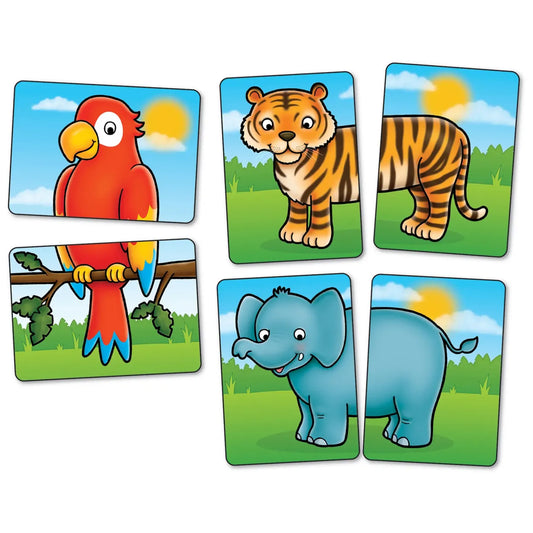 Jungle Heads and Tails