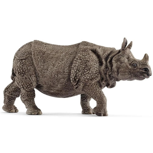 Indian Rhinoceros